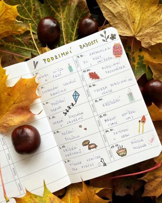 Kdo také miluje podzim? 🍁🍂🙋‍♀️ #podzim#hygge#kastany#knizky #papirnictvi #diar#planovani #mujplanovaciritual #diarmetes...